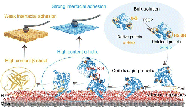 image file: d5cc06117b-f8.tif