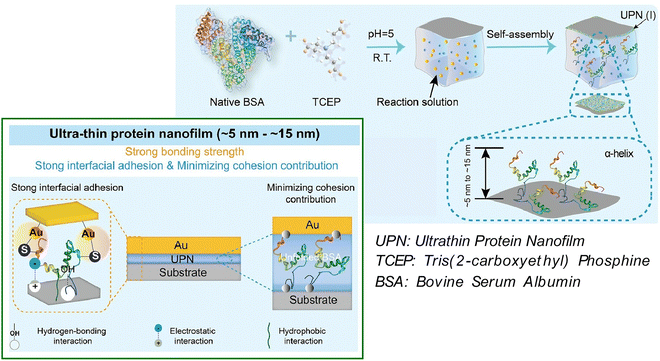 image file: d5cc06117b-f9.tif
