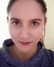 image file: d5cc06135k-p1.tif