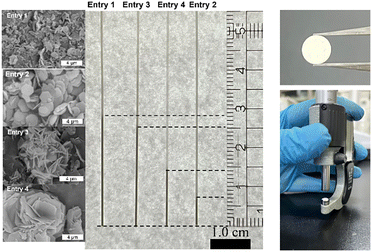 image file: d5cc06142c-f5.tif