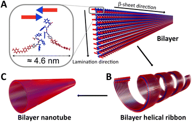 image file: d5cc06185g-f4.tif
