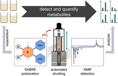 image file: d5cc06186e-f1.tif