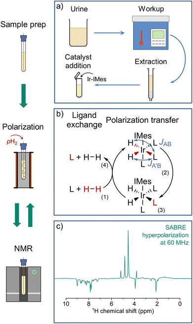 image file: d5cc06186e-f2.tif