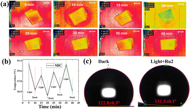 image file: d5cc06235g-f4.tif