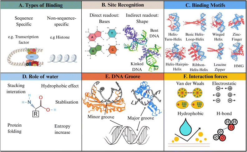 image file: d5cc06239j-f1.tif