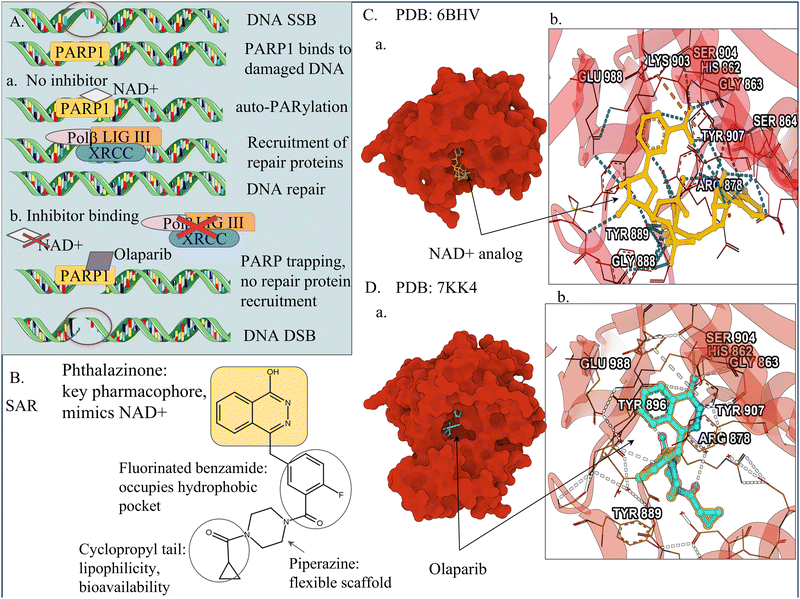 image file: d5cc06239j-f3.tif