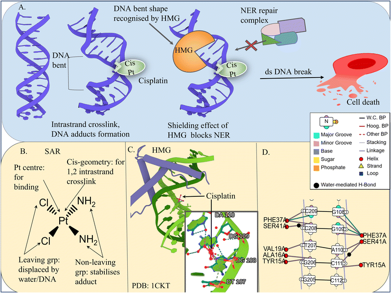 image file: d5cc06239j-f4.tif
