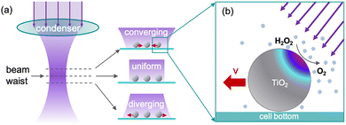 image file: d5cc06293d-f1.tif