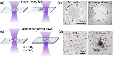 image file: d5cc06293d-f4.tif