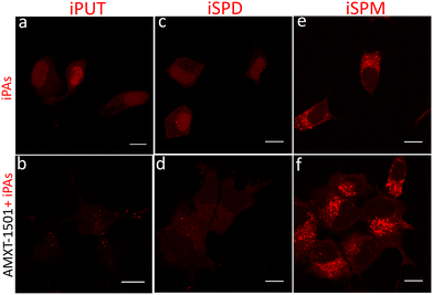 image file: d5cc06304c-f3.tif