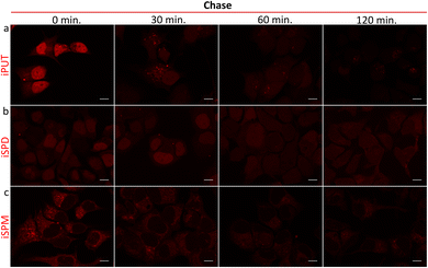 image file: d5cc06304c-f4.tif