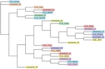 image file: d5cc06378g-f2.tif