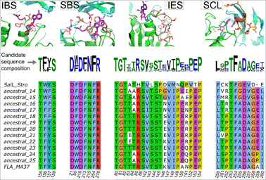 image file: d5cc06378g-f3.tif