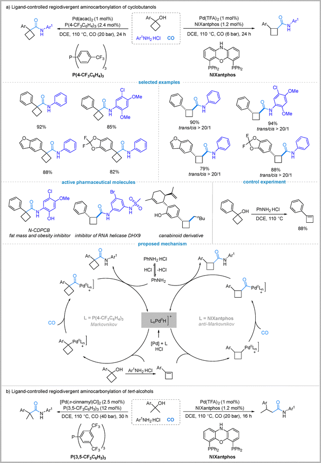 image file: d5cc06417a-f10.tif