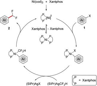 image file: d5cc06479a-s4.tif