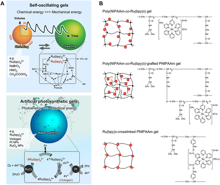 image file: d5cc06562c-f2.tif