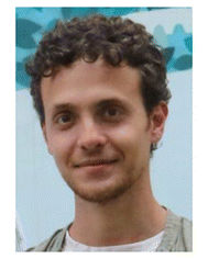 image file: d5cc06590a-p1.tif