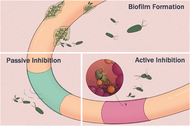 image file: d5cc06617d-f1.tif