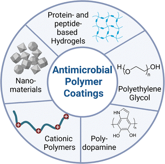 image file: d5cc06617d-f3.tif