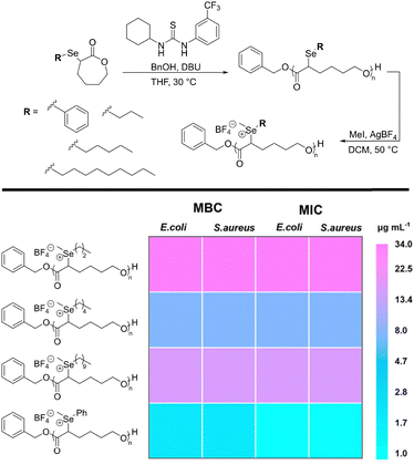 image file: d5cc06617d-f4.tif