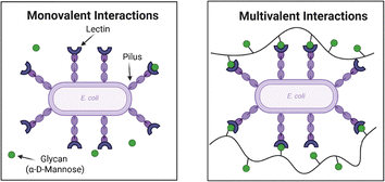 image file: d5cc06617d-f5.tif