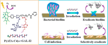 image file: d5cc06617d-f9.tif