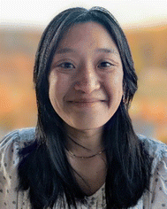 image file: d5cc06617d-p1.tif