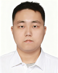 image file: d5cc06818e-p2.tif