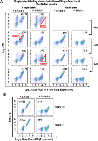 image file: d5cc06861d-f3.tif
