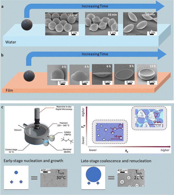 image file: d5cc06934c-f11.tif
