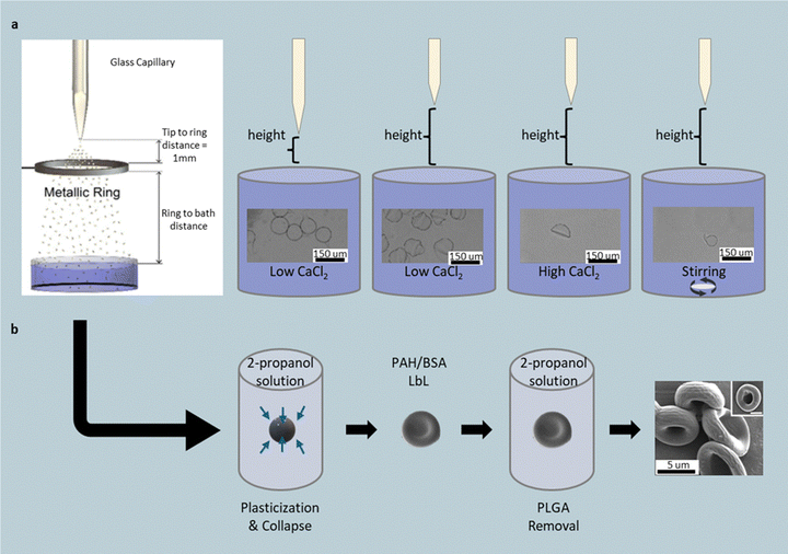 image file: d5cc06934c-f12.tif