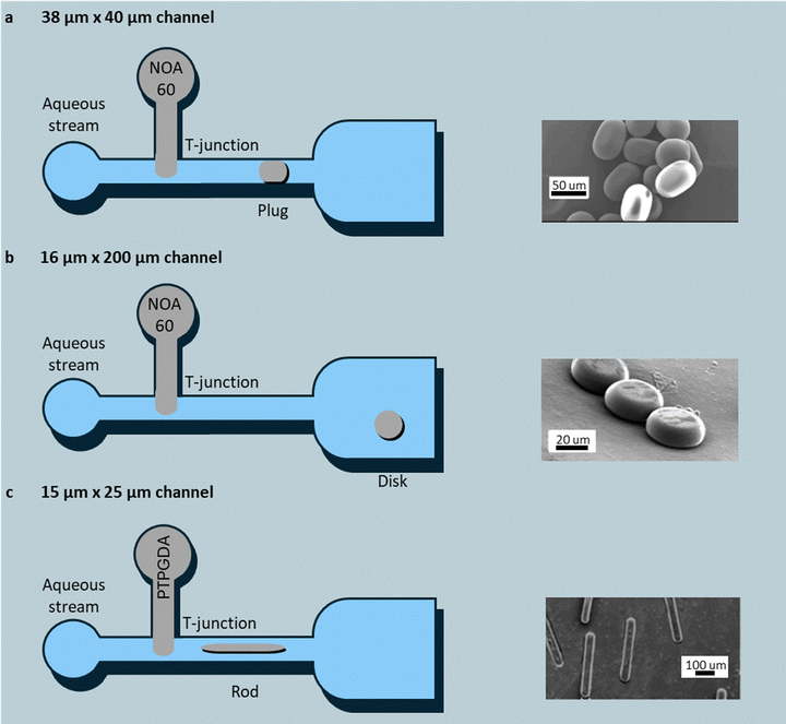 image file: d5cc06934c-f8.tif