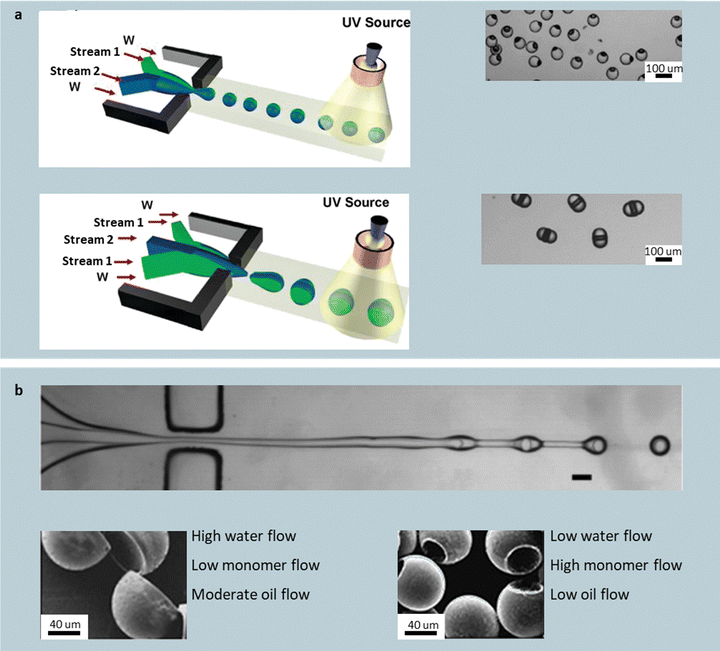 image file: d5cc06934c-f9.tif