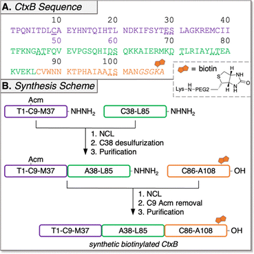 image file: d5cc06935a-f1.tif