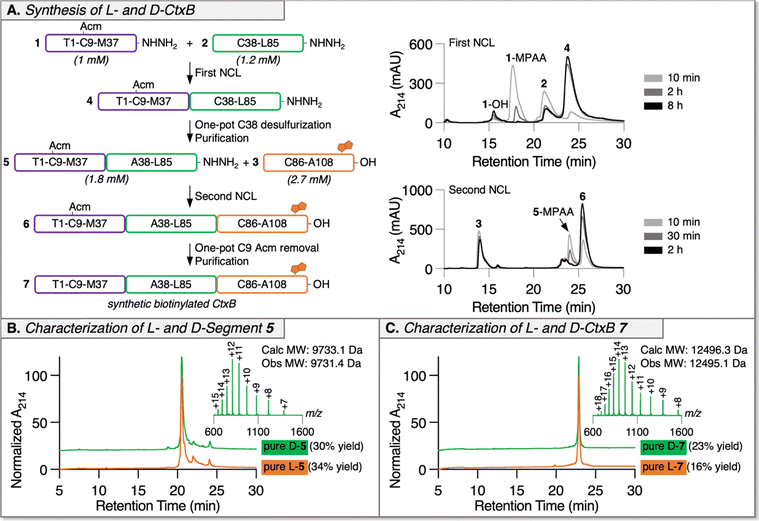 image file: d5cc06935a-f2.tif