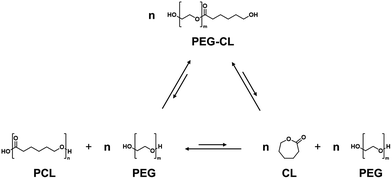 image file: d5cc06942d-s2.tif