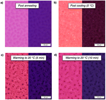 image file: d5cc06956d-f3.tif