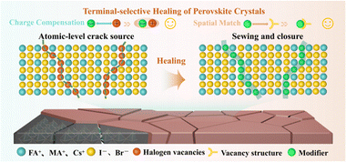 image file: d5cc07007d-f1.tif