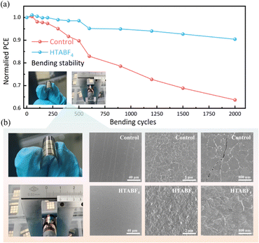 image file: d5cc07007d-f4.tif