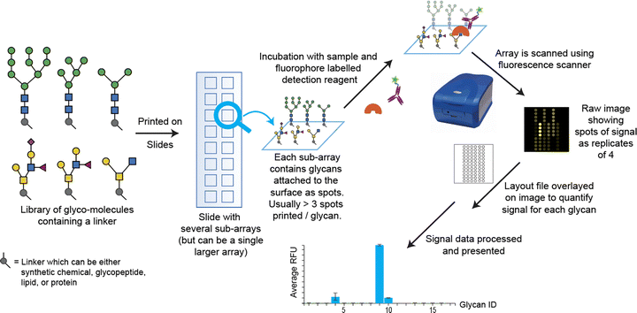 image file: d5cc07008b-f1.tif