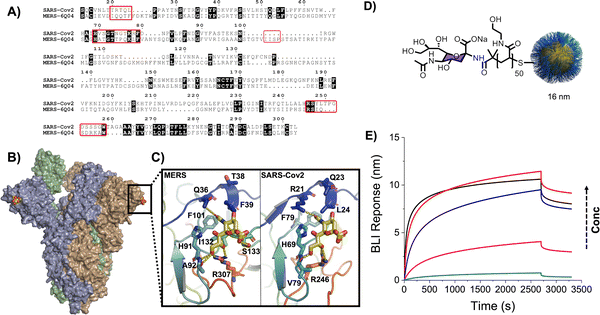 image file: d5cc07008b-f11.tif