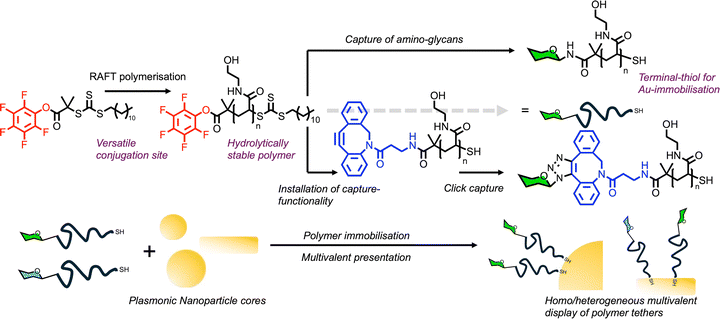 image file: d5cc07008b-f4.tif