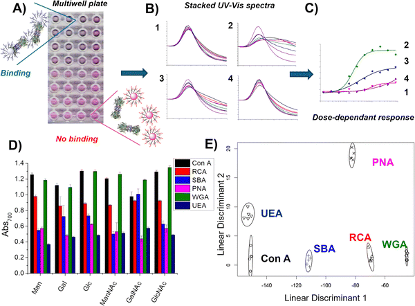 image file: d5cc07008b-f9.tif