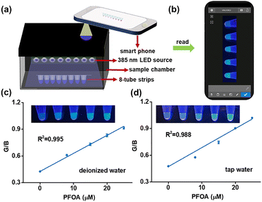 image file: d5cc07080e-f4.tif