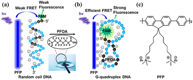 image file: d5cc07080e-s1.tif