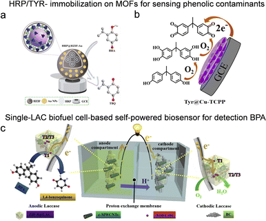 image file: d5cc07082a-f7.tif