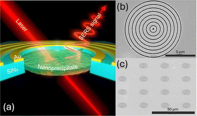 image file: d5cc07127e-f1.tif