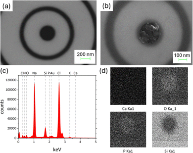 image file: d5cc07127e-f3.tif