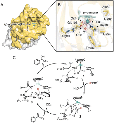 image file: d5cc07188g-f2.tif