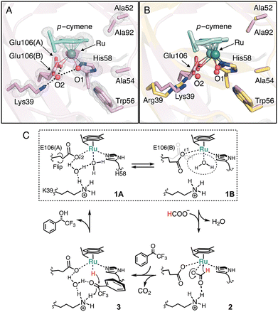 image file: d5cc07188g-f3.tif